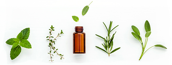 Best Essential Oil Brands Based on In-Depth Reviews