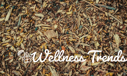 Wellness Trends – November 2019