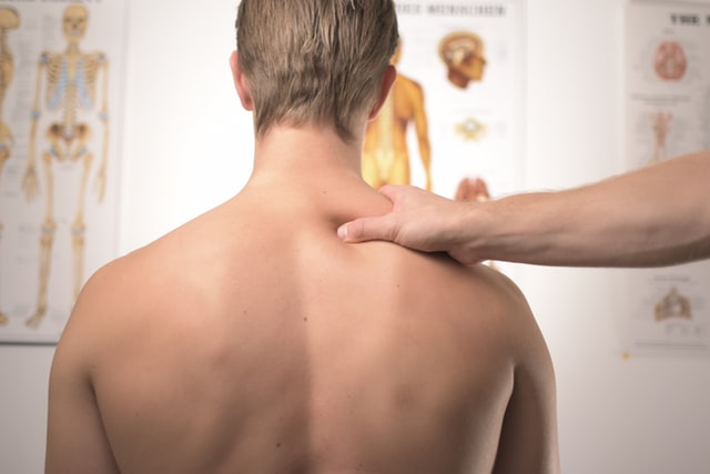 Chiropractic and the Immune System: A Great Relationship