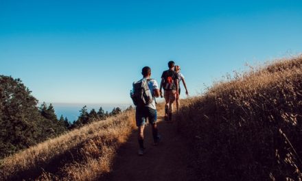 SelfHelpWorks: Activity Log and Walking Summary