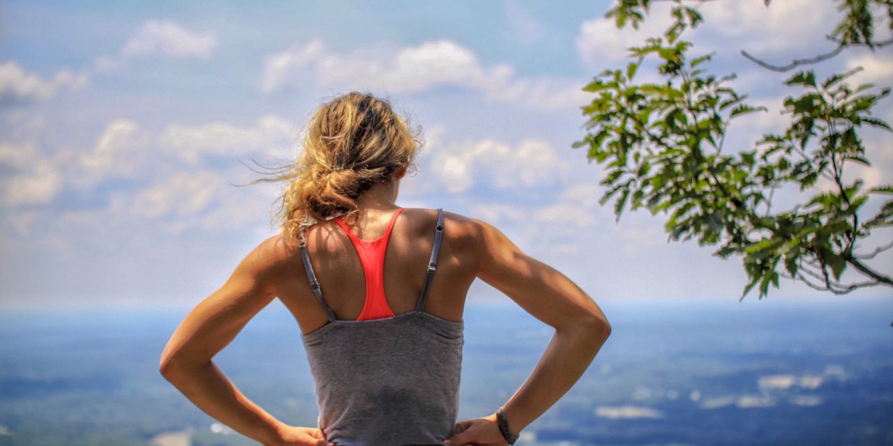 Bless Your Immune System Anatomy