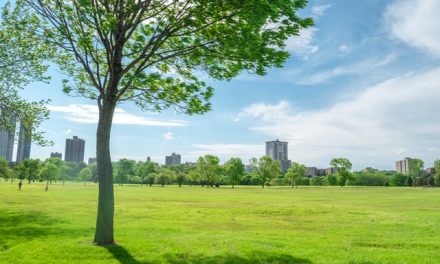 Public Parks Guaranteeing Sustainable Well-Being