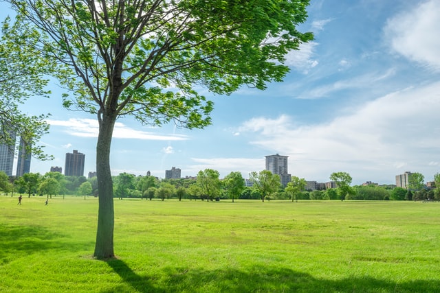Public Parks Guaranteeing Sustainable Well-Being