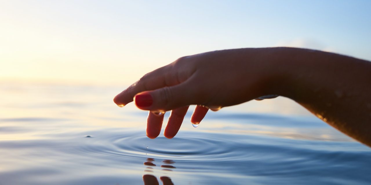 The Audacity of Wholeness and the Evolution of the National Wellness Insitute