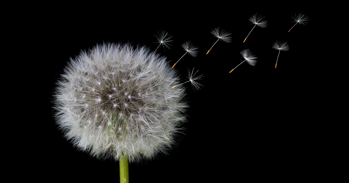 Multi-Level Resilience: An Idea Whose Time Has Come