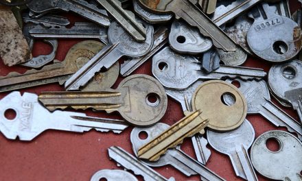 Unlocking Workplace Wellness