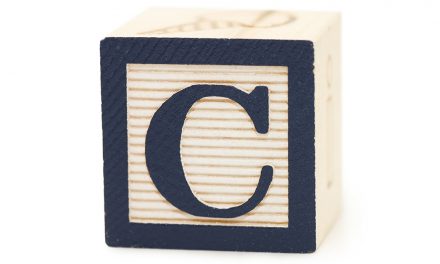 Let’s discuss the 5 C’s of Wellness Strategy