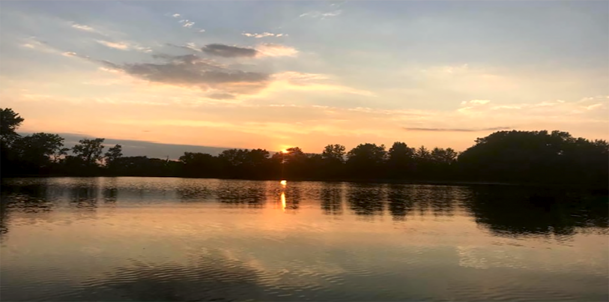 Afraid of the “New Normal”