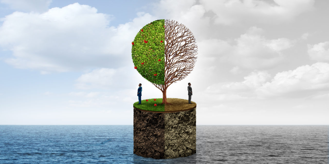 The Racial Wealth Gap: How it Started and How it’s Going