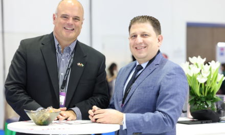 Why The Social Wellness Dimension is the Foundation of all of Well-being