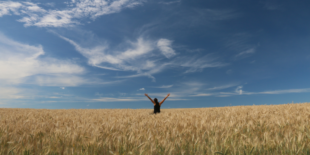 Change Your Perception of Change and Thrive